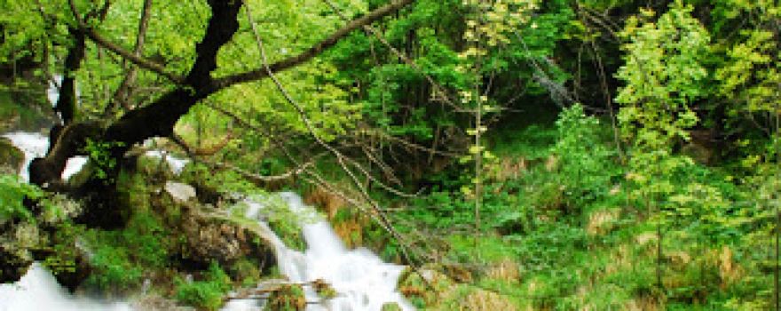 Centro Visita Riserva Naturale