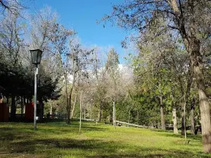 Camping Severiano Ortega