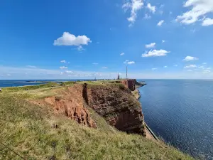 Lummenfelsen der Insel Helgoland