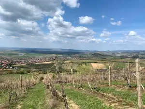 Aréna