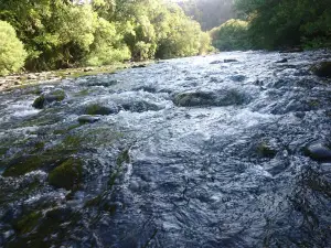 Malleco River