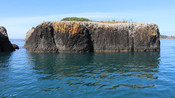 Bay of Islands isite Visitor Information Centre