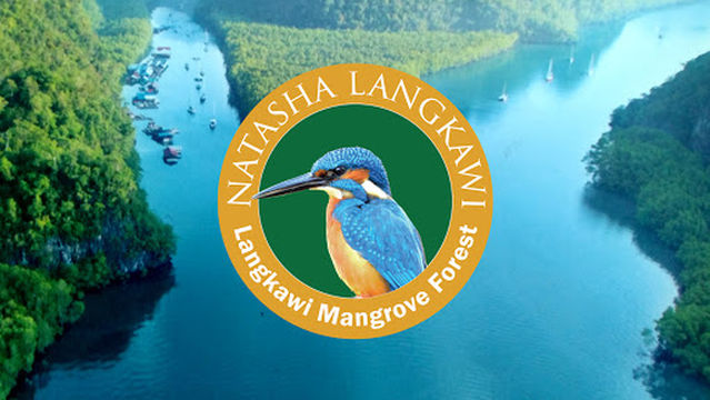 Natasha Mangrove Nature Tour