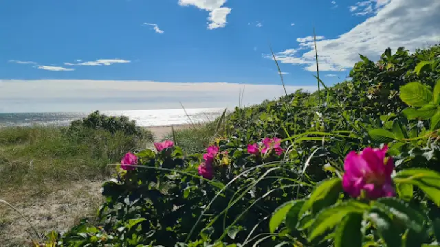 Falkenberg Travel Guide 2026: Top Attractions, Things to Do & Deals |  Trip.com | June 2026