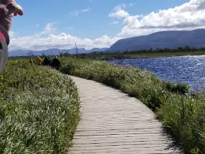 River Of Ponds Park