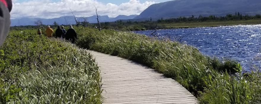 River Of Ponds Park