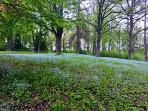 Rõngu vasallilinnus
