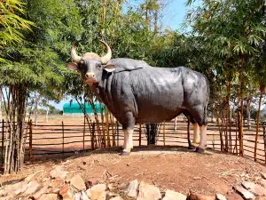 Dr. A P J Abdul Kalam Garden