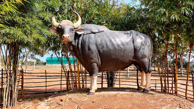 Dr. A P J Abdul Kalam Garden