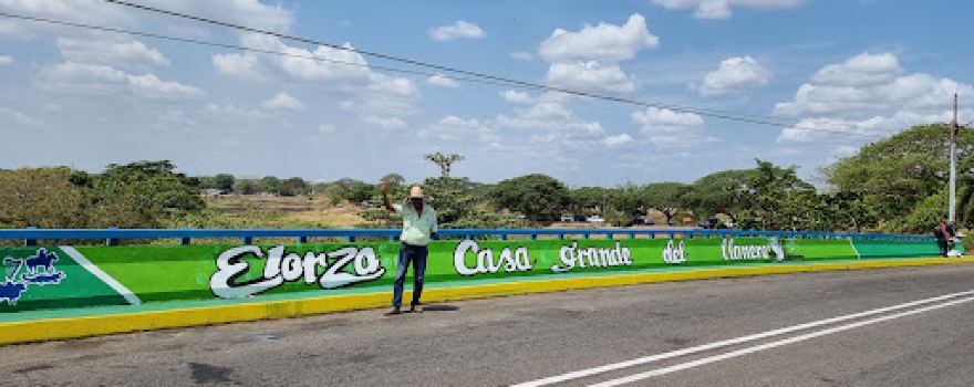 Monumento Al Joropo