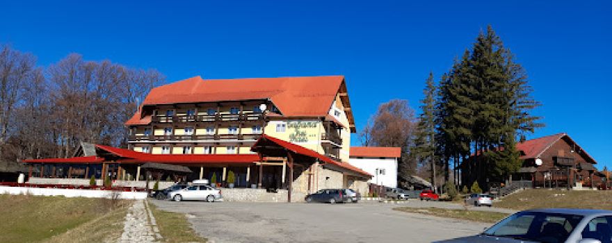 Panorama Trei brazi
