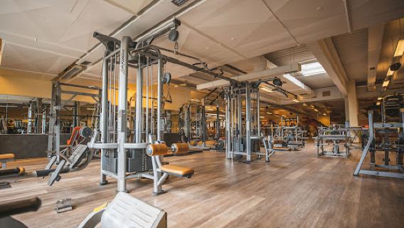 CATO Health & Sports Company