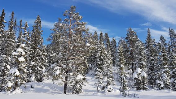 Gravset resorts