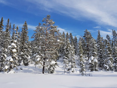 Gravset resorts