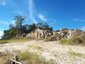 Altos de Coé Porá