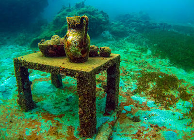 Scuba West Indies - Diving Grenada