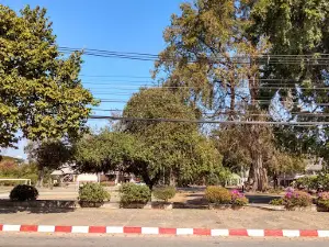 Natural Park (Monkey Park)