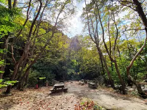 Skepasmeno Waterfalls