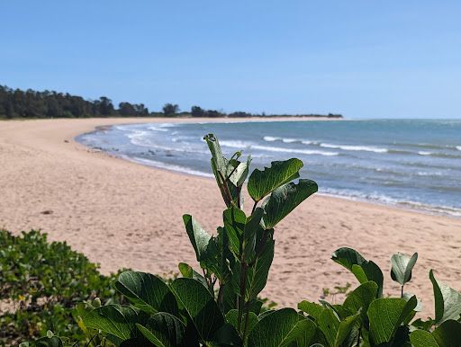 Gove Peninsula Surf Life Saving Club