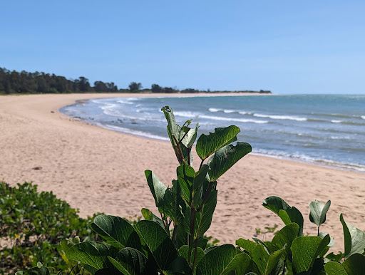 Gove Peninsula Surf Life Saving Club
