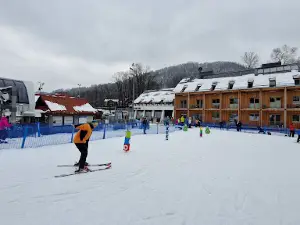 Ski Resort Palenica