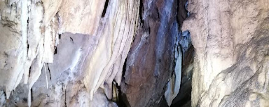 Cuevas y Senderos La Mandrágora