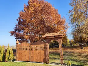 Petőfi fája