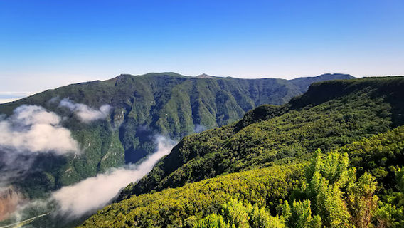 Miradouro do Fanal-Chão da Ribeira