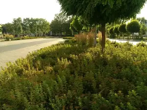 Culture, Sports and Recreation Center in Witkowo
