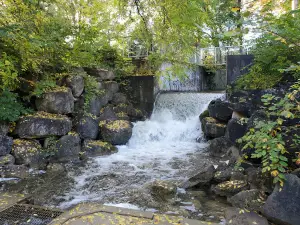 Mill Dam