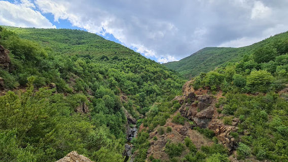 Kuturman - Qafa e Bushit