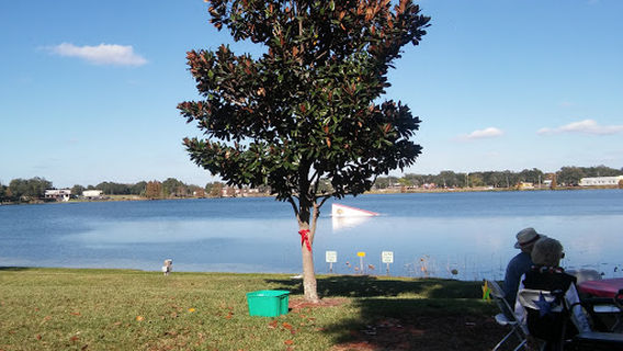 Martin Luther King Jr Park