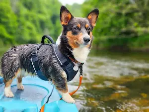 Riverside Canoe and Tube Rentals Inc
