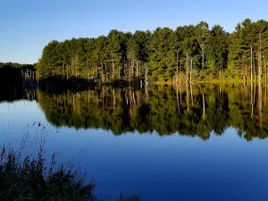Woodbury Wildlife Area