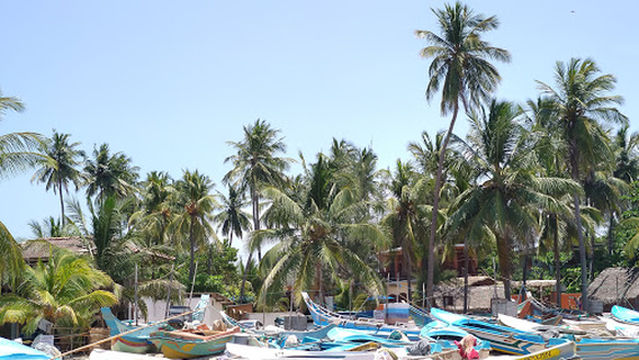 Main Surf Point Arugam Bay