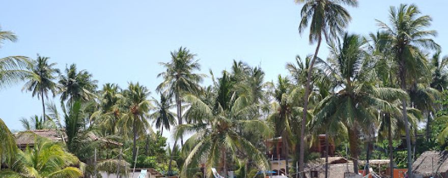 Main Surf Point Arugam Bay
