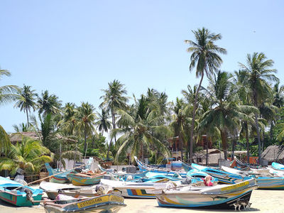 Main Surf Point Arugam Bay