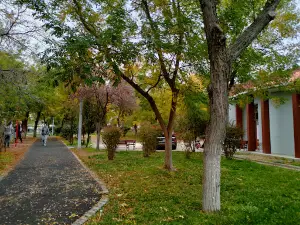 Youth Park