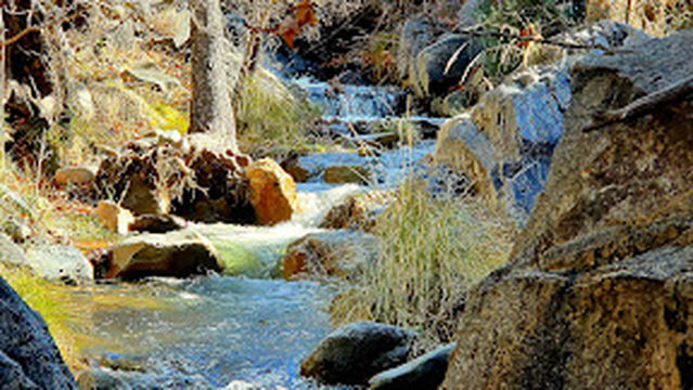 Whitehouse Picnic Area