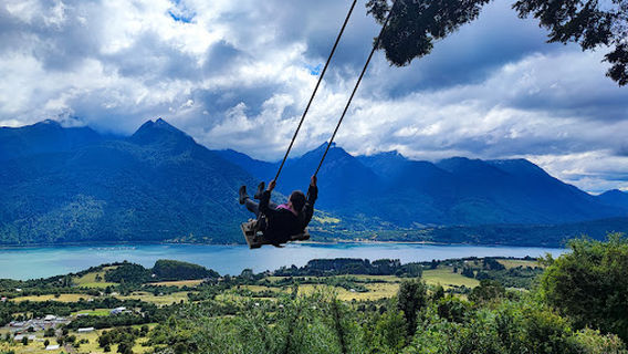 Coihue de los Columpios