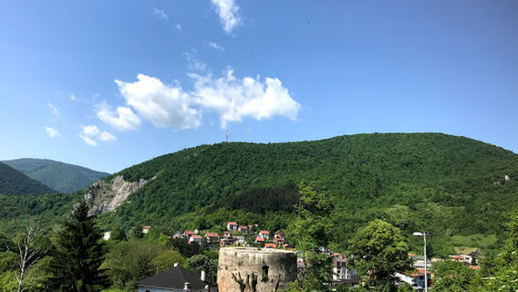Medvjed kula