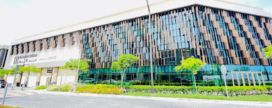 Al Liwan Cinema