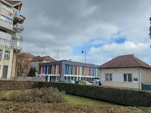 Andrei Mureşanu Theater