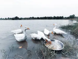 Neel Aqua Farm