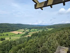Erlebniswald Solling