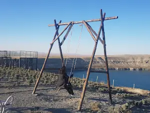 Karapınar Millet Bahçesi