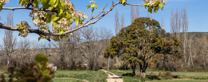 La Via Verde Del Tajuña