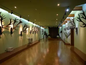 "Posada" Hunting Museum