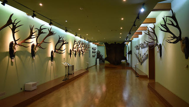 "Posada" Hunting Museum