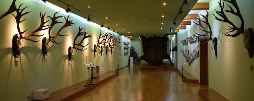 "Posada" Hunting Museum